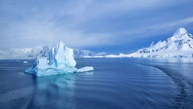 Registran microplásticos en la nieve fresca de la Antártida
