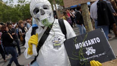La Corte Suprema de EEUU condenó a Monsanto por usar glifosato