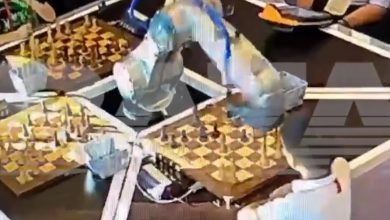 Un robot le fracturó el dedo a un niño en una partida de ajedrez