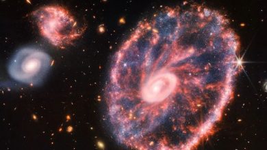 Galaxia Cartwheel