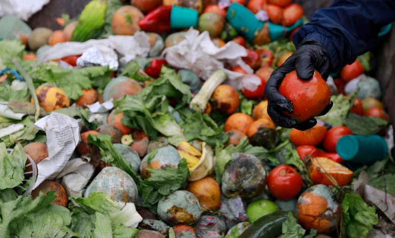 El 40% de la comida que se produce en el mundo termina en la basura