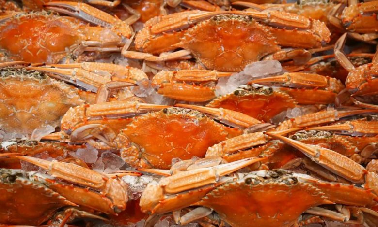 Los caparazones de cangrejo podrían usarse para baterías biodegradables
