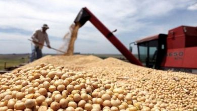 Desde este martes, el Banco Central dispuso que las empresas cerealeras que liquidaron con dólar soja no podrán acceder al mercado de cambios.
