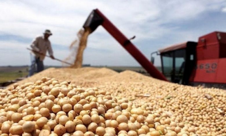Desde este martes, el Banco Central dispuso que las empresas cerealeras que liquidaron con dólar soja no podrán acceder al mercado de cambios.