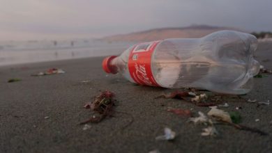 botella de coca cola tirada al lado del mar