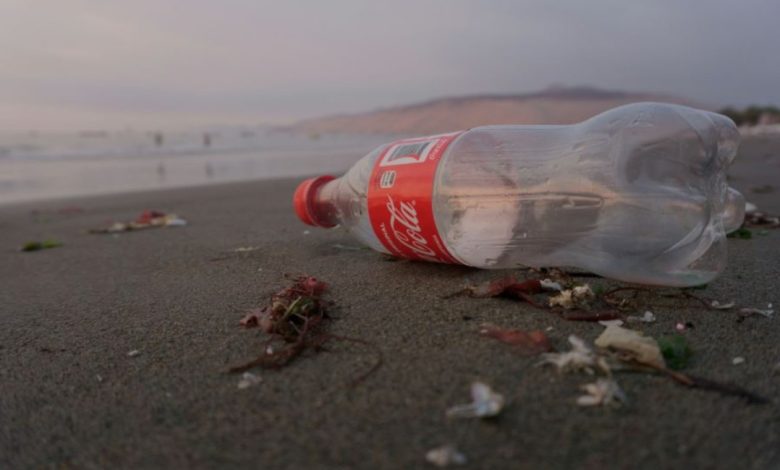 botella de coca cola tirada al lado del mar