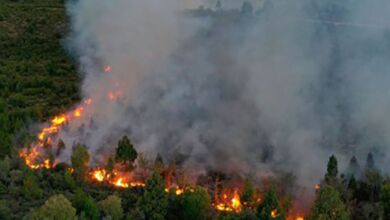 Incendio en la Patagonia Argentina