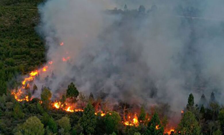 Incendio en la Patagonia Argentina