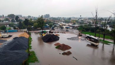 el niño