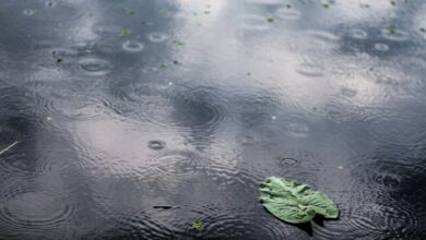 Agua de lluvia