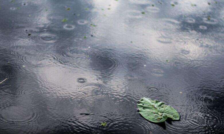 Agua de lluvia