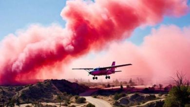 Polvo rosa para combatir incendios