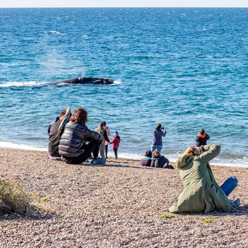 Playa El Doradillo- Puerto Madryn, Argentina