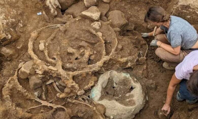 Descubrieron un elemento revolucionario de la Edad de Hierro en el Reino Unido