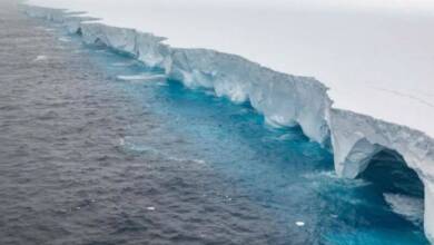 El iceberg más grande del mundo se detuvo en un paraíso natural