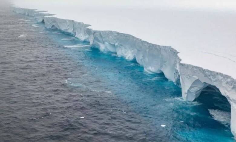 El iceberg más grande del mundo se detuvo en un paraíso natural