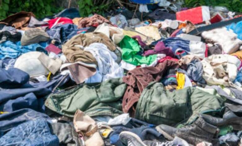 Una bacteria modificada podría descomponer el nylon no reciclable de la ropa