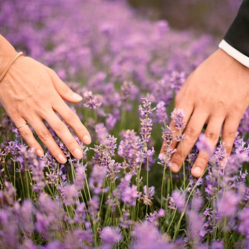 Matrimonios lavanda
