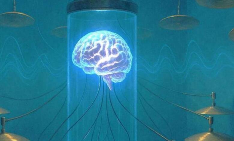 El cerebro de un compositor crea música hasta cuatro años después de su muerte
