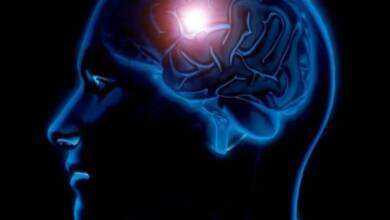11 factores que afectan el cerebro