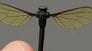 China creó un dron del tamaño de un mosquito