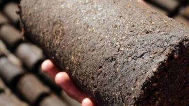 Transforman residuos de aceituna en combustible ecológico