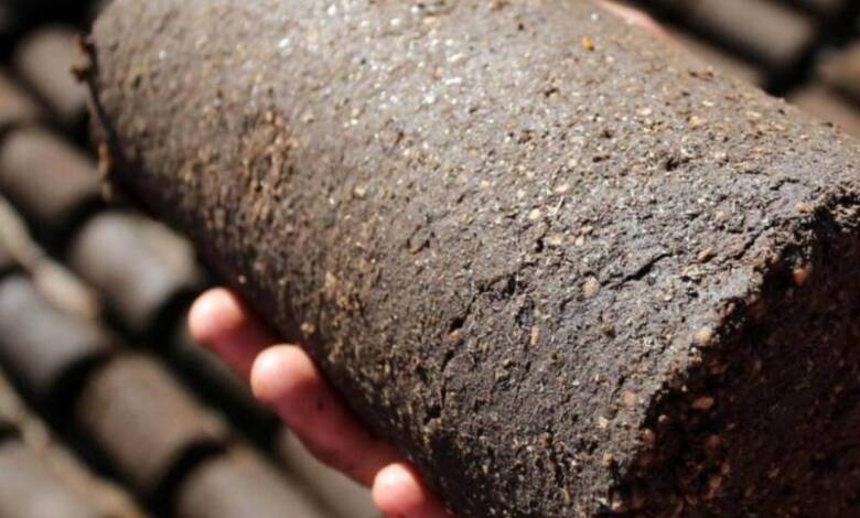 Transforman residuos de aceituna en combustible ecológico