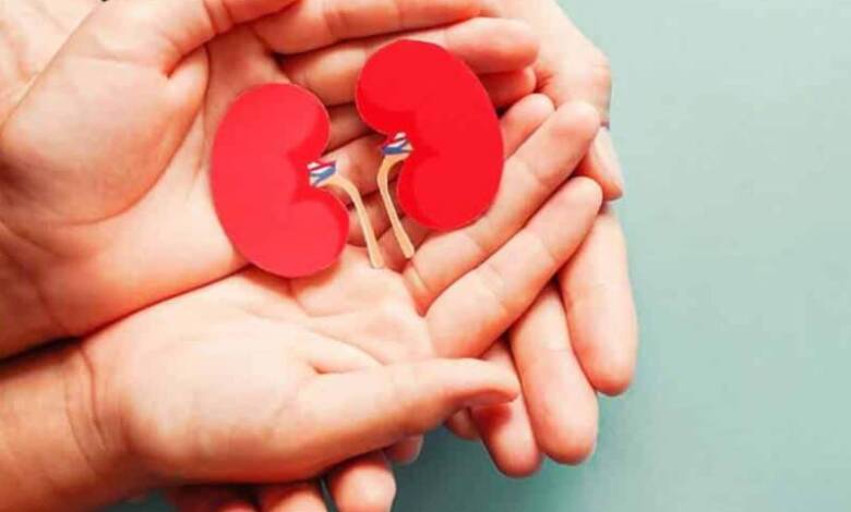 Autorizaron en España la donación de órganos entre personas con VIH
