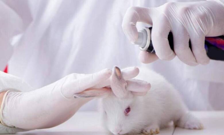 Brasil prohibió las pruebas cosméticas en animales