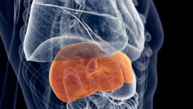 Día Mundial contra la Hepatitis: Por qué es clave testear aunque no haya síntomas