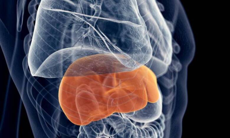 Día Mundial contra la Hepatitis: Por qué es clave testear aunque no haya síntomas