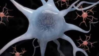 Identificaron la base genética de la tartamudez