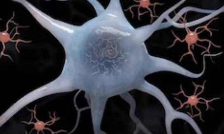 Identificaron la base genética de la tartamudez