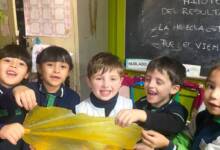 Alumnos de 5 años crearon bolsas biodegradables con cáscaras de mandarina