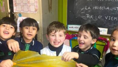 Alumnos de 5 años crearon bolsas biodegradables con cáscaras de mandarina