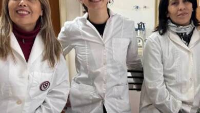 Científicas argentinas encontraron una bacteria que sella fisuras en hormigón