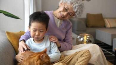 En Japón existe el servicio de abuelas de alquiler para que los adultos mayores sigan activos