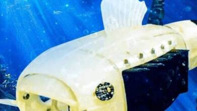 Gilbert: El pez robot que filtra microplásticos