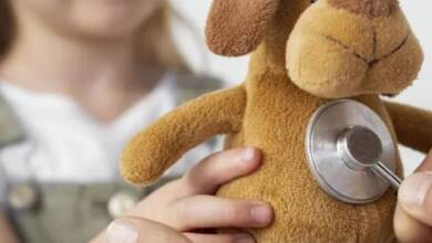 "Hospital de los Peluches", una experiencia para que los más chicos pierdan el miedo al médico