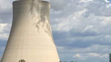 Medusas paralizaron una central nuclear en Francia