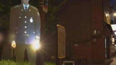 Seúl instaló una policía holográfico y los delitos bajaron un 22%