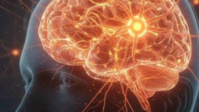 Científicos descifran el diálogo interno del cerebro para convertir pensamientos en palabras