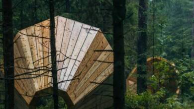 Megáfonos gigantes en Estonia amplían los sonidos del bosque