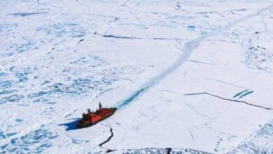 Científicos descubrieron vida activa a 15 grados bajo cero en el hielo ártico