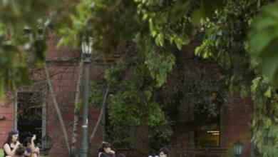 Ciudades frescas: una herramienta argentina contra el cambio climático