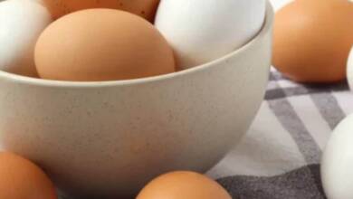 El huevo es el segundo alimento más consumido en Argentina