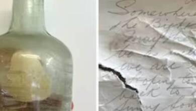 Encontraron una botella con cartas de soldados de la Primera Guerra Mundial