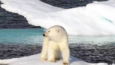 La ONU advirtió que no lograremos contener el calentamiento global