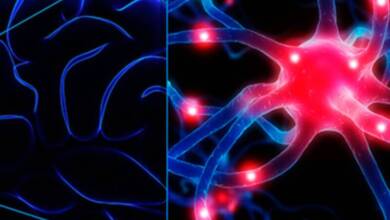 Nuevas alternativas para tratar la epilepsia