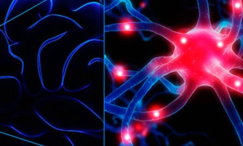 Nuevas alternativas para tratar la epilepsia